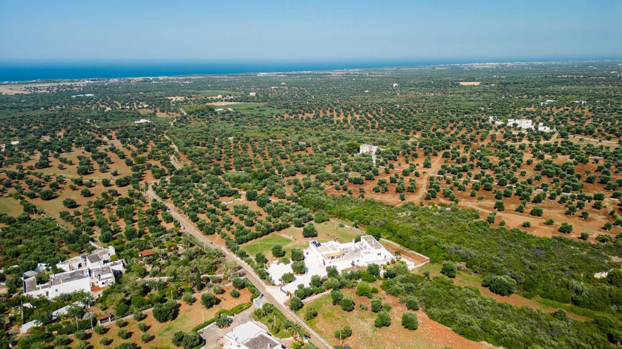 Masseria Abadia Uno Ostuni Luaran gambar